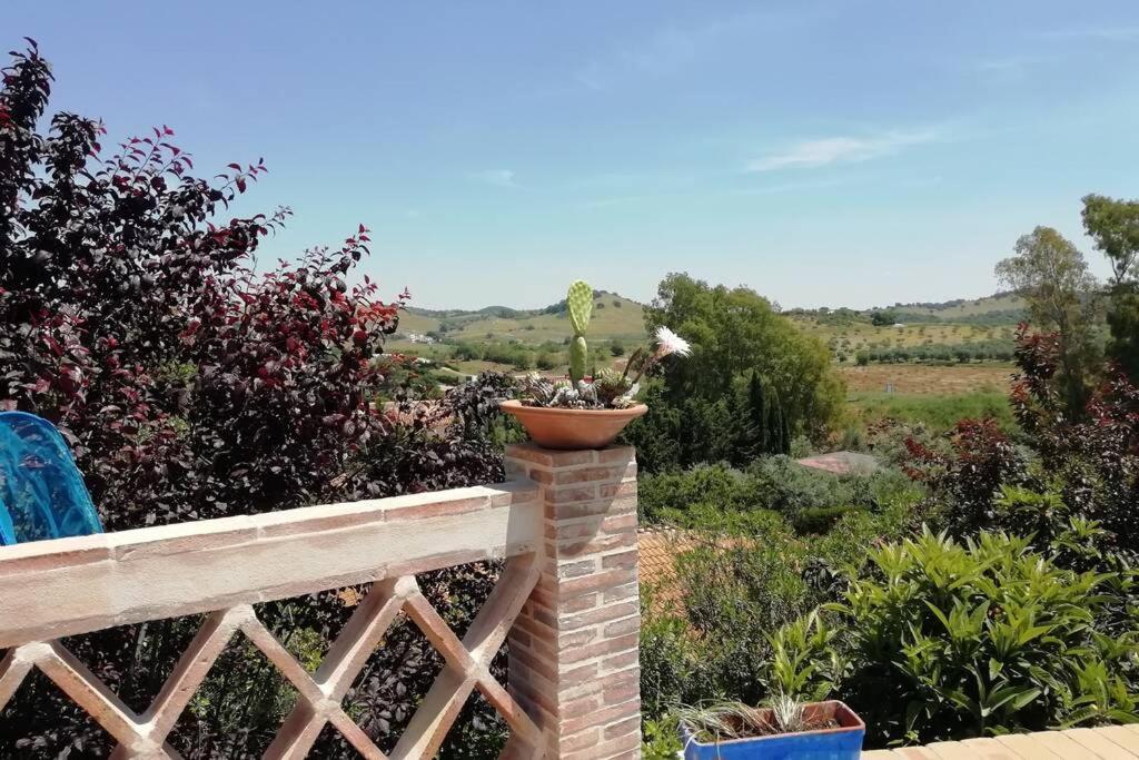 Casa Rural La Vega Cazalla de la Sierra Bagian luar foto